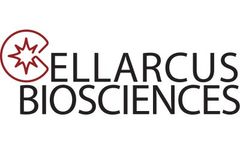 Vesicle Analysis Services