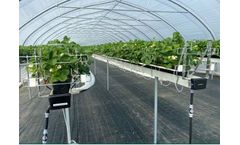 Metasa - Channel Cart System for Strawberry Cultivation (130 mm)