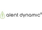 Alent Dynamic - Wood Drying System