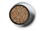 Roquette VITEN - Wheat Gluten