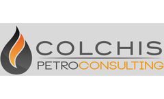 Rapid Digital Forward Modeling with ColchisFM