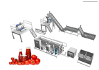DT Food - Industrial Tomato Paste Processing