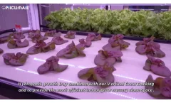 OptiClimate - Vertical Commercial Planting Rack