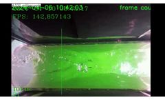 Fish Counting Device - ML/AI Principles  - Video
