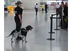 Detection Dog Services for Security Applications