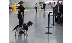 Detection Dog Services for Security Applications