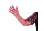 Chuangpu - Model HL-FF01 - 50PCS/Bag Long Arm PE Veterinary Disposable Gloves Excellent Chemical Resistance