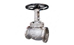 Neway - Globe Valve