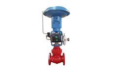 RMT Valvomeccanica - Model Serie 22 - Globe Straight Way Top Guided Control Valve