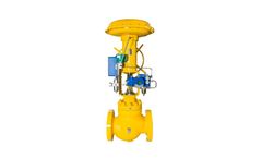 RMT Valvomeccanica - Model Serie 23 - Globe Straight Way Cage Guided Control Valve