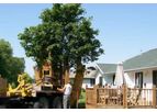 Tree Moving Services