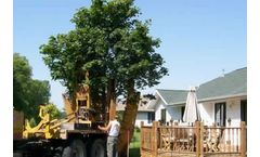 Tree Moving Services