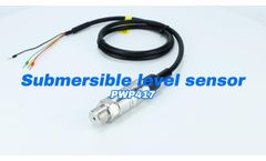 PWP417 Hydrostatic level measurement with submersible pressure sensor - Video