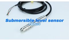 PWP414 Hydrostatic level measurement with submersible pressure sensor - Video