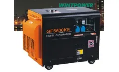 Wintpower - Model WT7500CL - Portable Diesel Power Generator for Home Use