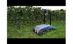 Crawler | Autonomous navigation for vineyard maintenance - Video