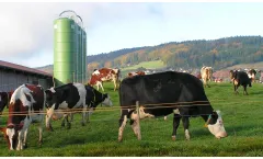 Wrapped New Silos