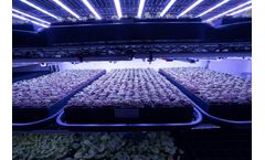 IAG - Germination Rooms