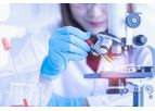 Vertical Farming Research and Development Services