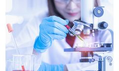 Research And Development Service