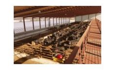 Cattle Handling Services
