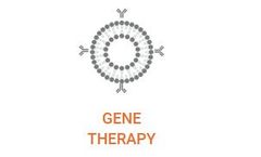 Liposomes - Hollow Nanospheres for Gene Therapy