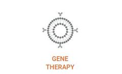 PLGA - Polymeric Nanoparticles Copolymer for Gene Therapy