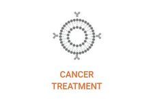 PLGA - Polymeric Nanoparticles Copolymer for Cancer Therapy