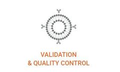 Exosomes - Extracellular Vesicles for Validation and Quality Control