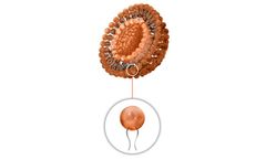 Nanovex - Model Liposomes - Hollow Nanospheres
