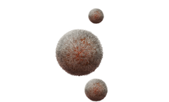 Nanovex - Model PLGA - Polymeric Nanoparticles Copolymer
