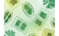 Algae Matrix Bioreactor Tank System (AMTS) for Bioplastics and Biocomposites