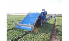 Bull-One - Model Bellavista - Leafy Greens Harvester