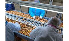 Machine Vision Technology for Food Industry