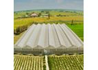 Agriplast - Naturally Ventilated Polyhouse