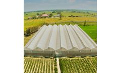 Agriplast - Naturally Ventilated Polyhouse