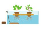 Agriplast - Deep Water Culture Systems