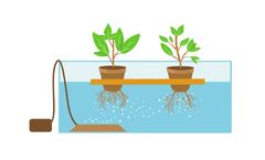 Agriplast - Deep Water Culture Systems