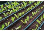 Al Matin - Model GR - Drip Irrigation Pipe