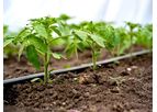 Al Matin - Flat Tapes Drip Irrigation Unilite Pipe