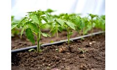 Al Matin - Flat Tapes Drip Irrigation Unilite Pipe