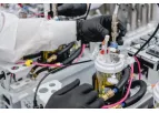 Clone, Strain & Construct Screening Services