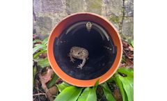 Stop Silent SL13 Backwater Valves as Frog Flap or Amphibian Flap