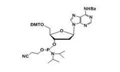 Chem Genes - 2’-Deoxy Adenosine (n-bz)