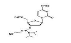 ChemGenes - 2’-Deoxy Cytidine (n-bz)