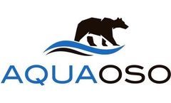 Analytics and Consulting Services