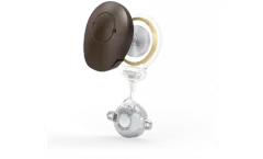CASCINATION  BONEBRIDG - Supported Otological Implants