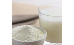 Biostrum - Camel Milk Powder