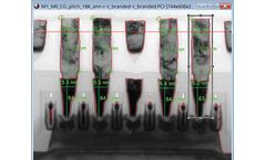 Quartz PCI-AM - Automated Semiconductor Metrology Software