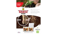 Team Atens - Brochure